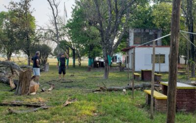 Reforestación del camping.